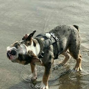 Jesse Jackman - Youtube Profile Picture of Jesse Jackman (@jessejackman3889) on Youtube