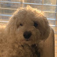 Profile Picture of Mario Madera (@mario-madera-11) on Quora