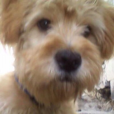 Profile Picture of Luz Maria Mota (@luzmaria_mota) on Twitter