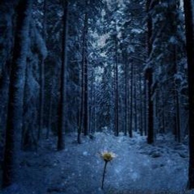 Profile Picture of Разводящий (@kelvinbenson24) on Twitter