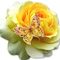 Profile Picture of Tiffany Reavis (@tiffany.reavis.54) on Facebook