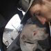 Profile Picture of Dusty Lucas (@dusty.lucas.3591) on Facebook
