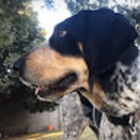 Profile Picture of Charlie Knolla (@charlie_knolla) on Poshmark