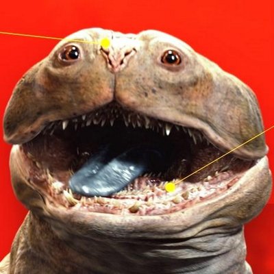 Profile Picture of Woola (@Woolagan) on Twitter