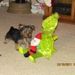 Profile Picture of Linda Leonard McFarland (@linmac50) on Pinterest