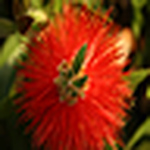 Profile Picture of Blake Shaw (@forkman22222) on Flickr