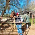 Profile Picture of Jason Arambula (@jasonarambo) on Instagram