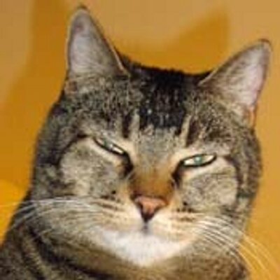 Profile Picture of Ian Marks (@ian_marks) on Twitter