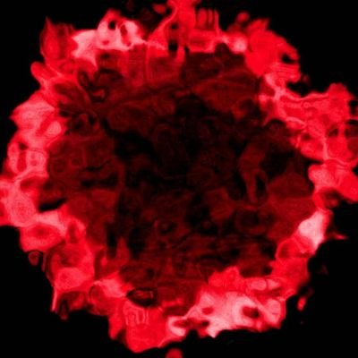 Profile Picture of Randyschipper07 (@randyschipper07) on Twitter