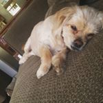 Profile Picture of Zack Jason (@big_z_jason) on Instagram