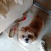 Profile Picture of Jim Carey (@jim.carey.94849410) on Facebook