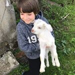 Profile Picture of David Cernat (@david.davidescu.davidovici) on Instagram