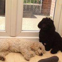 Profile Picture of Marilyn Jones (@marilyn-jones-20) on Quora