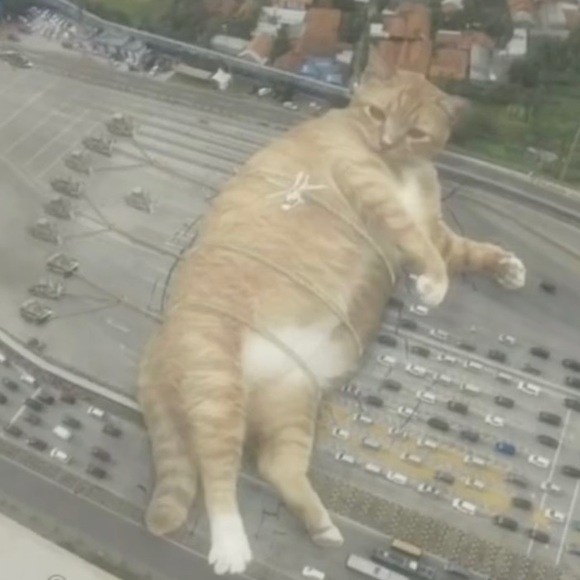 Profile Picture of Aisha Alvarado (@aisha587) on Poshmark