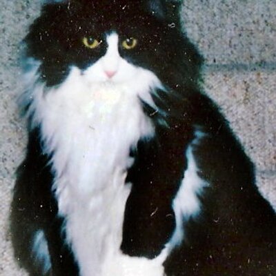 Profile Picture of Gary Guetzlaff (@dimbulb52) on Twitter