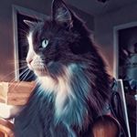 Profile Picture of Josh Chartier (@josh._.chartier) on Instagram