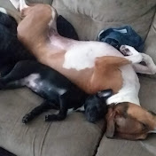 Profile Picture of Rose Mclaughlin (@rosemclaughlin80) on Youtube