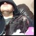 Profile Picture of Anthony Montoya (@chugaboo47) on Pinterest