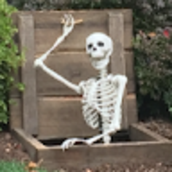 Profile Picture of Gianna Fiamengo (@s365923) on Poshmark