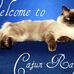 Anne Paul (Cajun Ragdolls) - Facebook Profile Picture of Anne Paul (Cajun Ragdolls) (@cajunragdolls) on Facebook