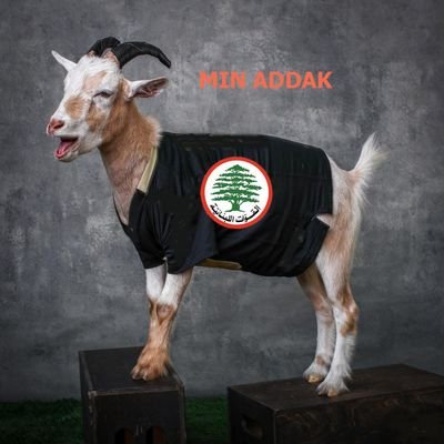 Profile Picture of قاهر قوات جعجع🚀🚀🚀 (@TonyElKahwagi) on Twitter
