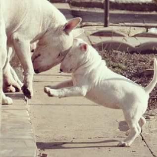 Profile Picture of James Robles (@jamesrobles357) on Twitter