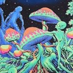 Profile Picture of B33MAN🐝 (@chris.beeman15) on Instagram