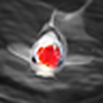 Profile Picture of Vt Fiji Graphix (@vt fiji graphix) on Flickr