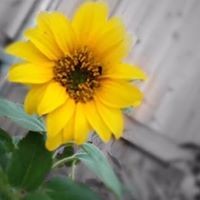 Profile Picture of Devin Dorsey (@devin-dorsey-2) on Quora