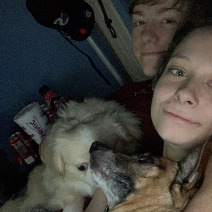 Profile Picture of Maddy Pulliam (@maddypulliam_01) on Tiktok