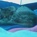 Jenny Dawn Chrestensen - Facebook Profile Picture of Jenny Dawn Chrestensen (@Jenn.the1andonlyawsumness) on Facebook