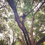 Profile Picture of Nick LeCroy (@nick.lecroy.5) on Facebook