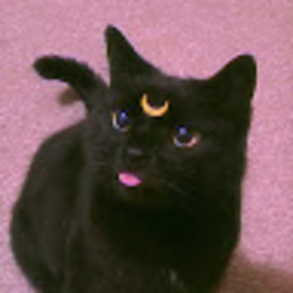 Profile Picture of Zee Zee (@zharacalubayan) on Poshmark