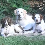 Profile Picture of Mitchell Watkins (@mitchellwiley) on Instagram