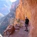 Profile Picture of Peter Downing (@downing4629) on Pinterest