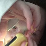 Profile Picture of Isabel (@belmanley) on Instagram