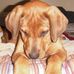 Profile Picture of Richard Gallagher (@richard.gallagher.545) on Facebook