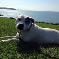 Profile Picture of Mark Briers (@mark-briers-6) on Quora