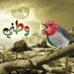 Profile Picture of Eman Maraheel (@eman_maraheel) on Instagram