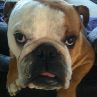 Profile Picture of Stephen Kershaw (@@kersh3570) on Twitter