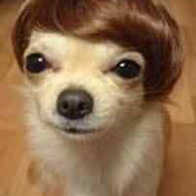 Profile Picture of Dave Brunkow (@dbrunkow) on Twitter