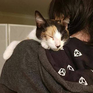 Profile Picture of Peter Liang (梁定辉) (@catdevpete) on Facebook