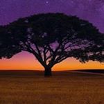 Profile Picture of John L. Speciale (@john.speciale) on Instagram