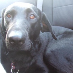 Janelle Perry - Myspace Profile Picture of Janelle Perry (@janelleperry) on Myspace