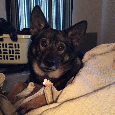 Profile Picture of Charles Willoughby (@ozzyheadlessbat) on Twitter