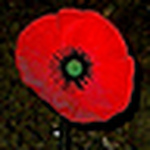 Profile Picture of Poppy Field Creations (@poppy field creations) on Flickr