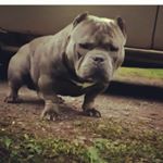 Profile Picture of jesse Ambriz (@jesse_ambriz) on Instagram