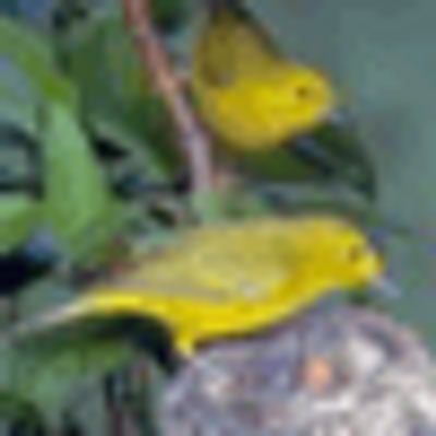 Profile Picture of Toby Olson (@easylil5a) on Twitter