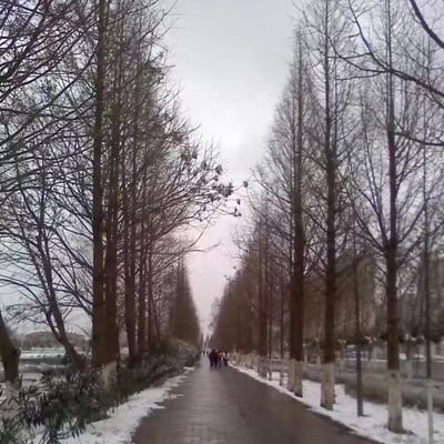 Profile Picture of An Zheng (@AnnZheng2019) on Twitter