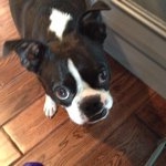 Profile Picture of Ami Swanson (@amiswanson) on Instagram